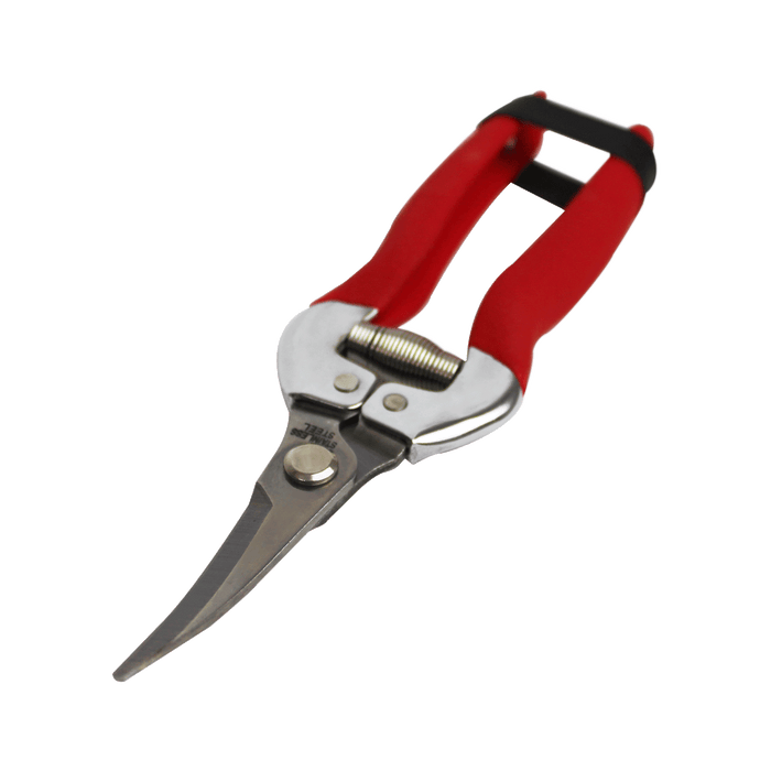 Economy Curved Stainless Steel Grape Clipper