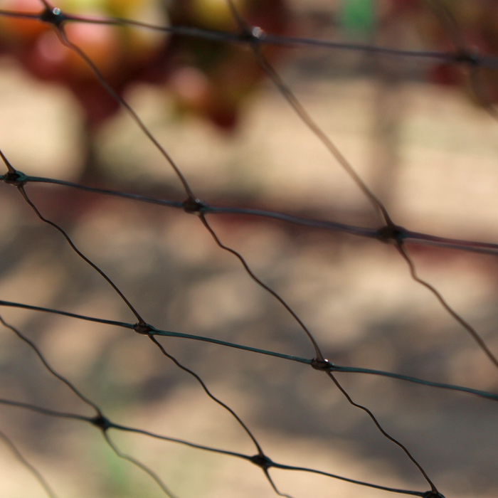 Extruded Bird Netting