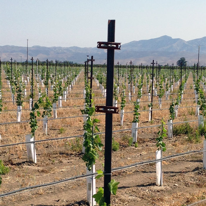 6" Canopy Management Cross Arms