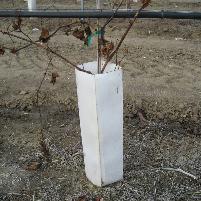 Paper Tree Protectors