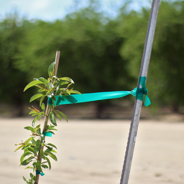 Stretchy Non-Adhesive Tie Tape For Plants