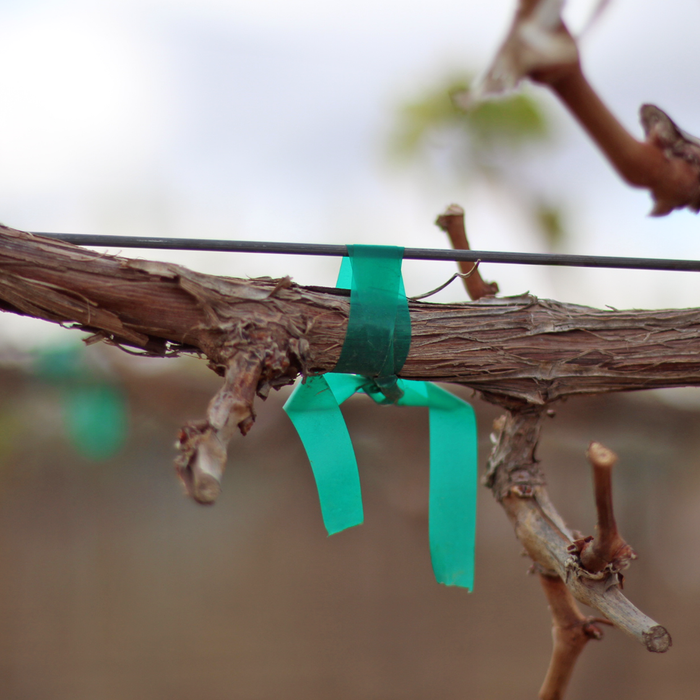 Stretchy Non-Adhesive Tie Tape For Plants