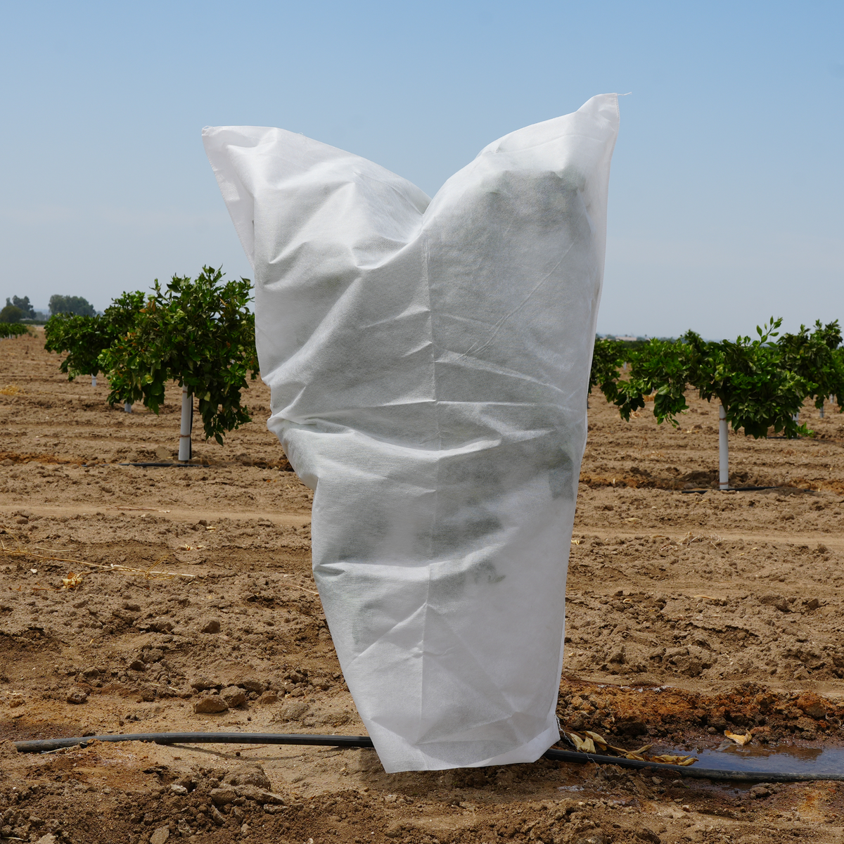 can i use plastic bags to protect plants from frost Orchard Plant Frost Freeze and Wind Protection Cover Bag